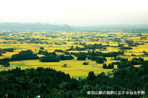 仙北平野